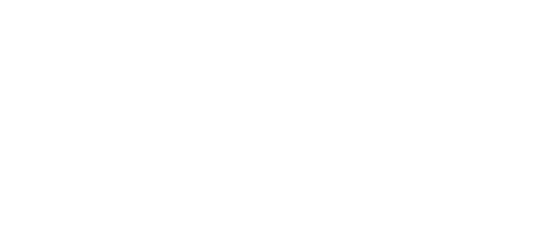 ENAE - Digital Meeting 2020