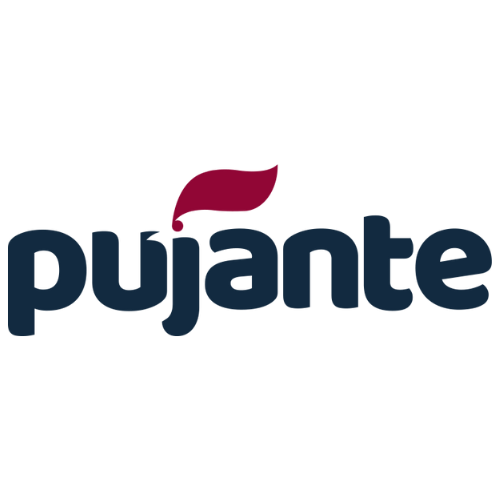 HIJOS DE JUAN PUJANTE S.A.