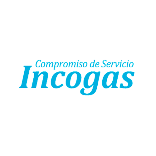 Ingeniería y Comercialización del Gas, S.A. (Incogás)