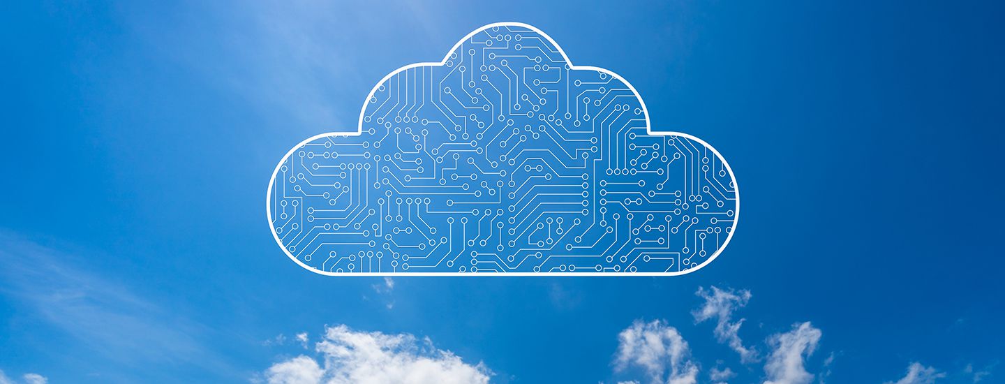 LA DIGITALIZACIÓN DE LA EMPRESA AGROALIMENTARIA