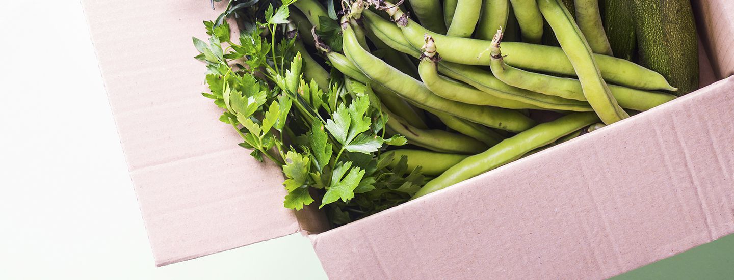 MARKETING AGROALIMENTARIO