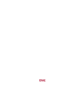 Cada Adorno Cuenta