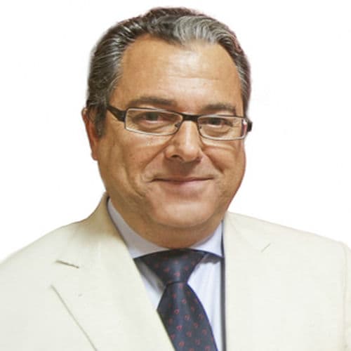 SANCHEZ-VIZCAINO RODRIGUEZ, JAIME