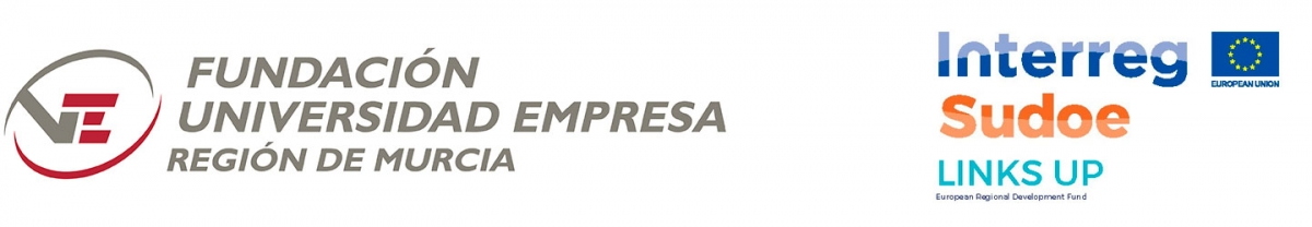 Proyecto europeo Links Up Fundación Universidad Empresa y ENAE