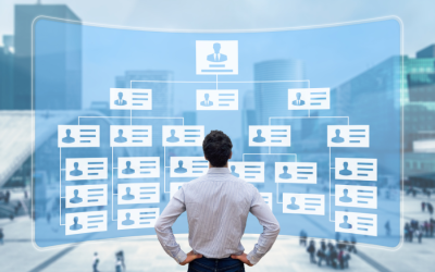 Estructura organizacional
