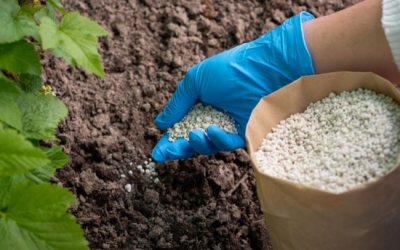 Fertilizantes