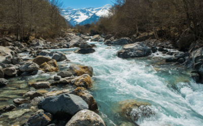 Recursos Naturales: Pilar del Desarrollo Sostenible