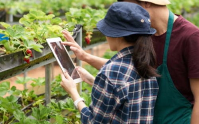 Tecnología agro