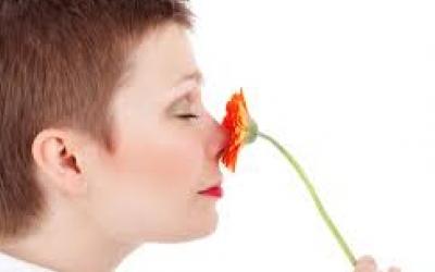 Marketing Olfativo: La influencia del olor sobre la memoria
