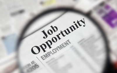 Top 5 Sectores Que Generan Más Empleo En Murcia