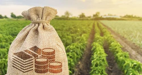 Asociacionismo agroalimentario